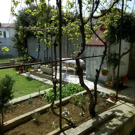 Iva Apartment *